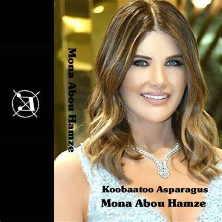 Mona Abou Hamze - Age, Family, Bio