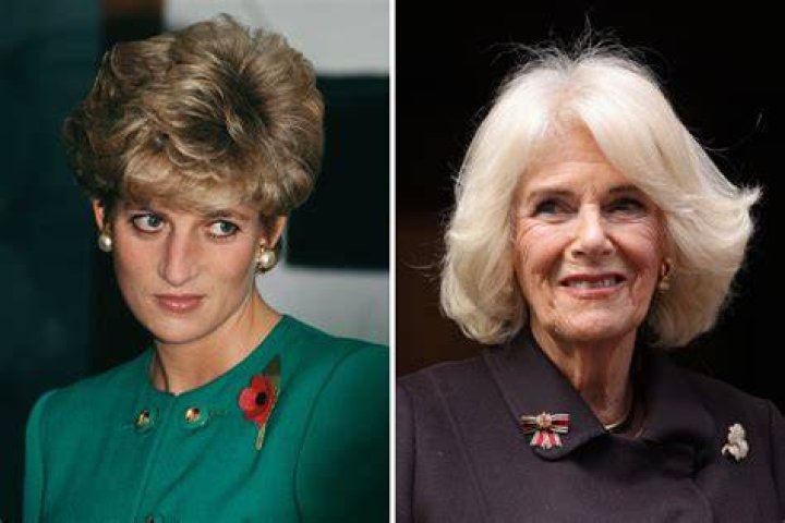 New biography of Duchess Camilla makes strange claims about Diana & Charles