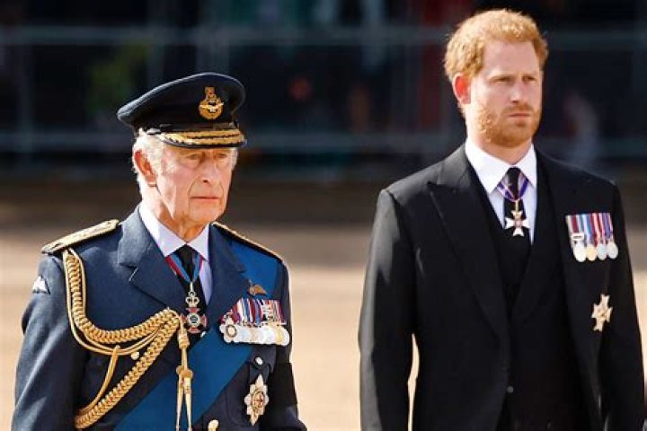 Prince Harry will not see his father due to the king’s ‘full program’ this week
