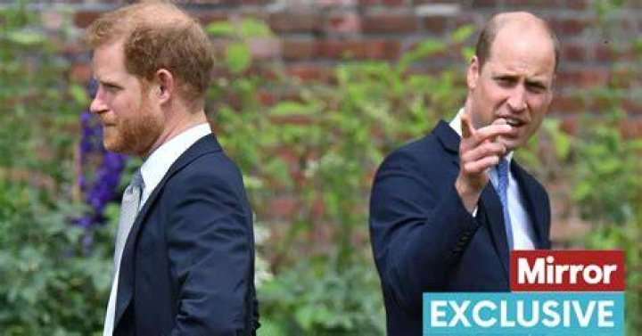 Prince William responded to Prince Harry’s text but it wasn’t ‘warm or informal’