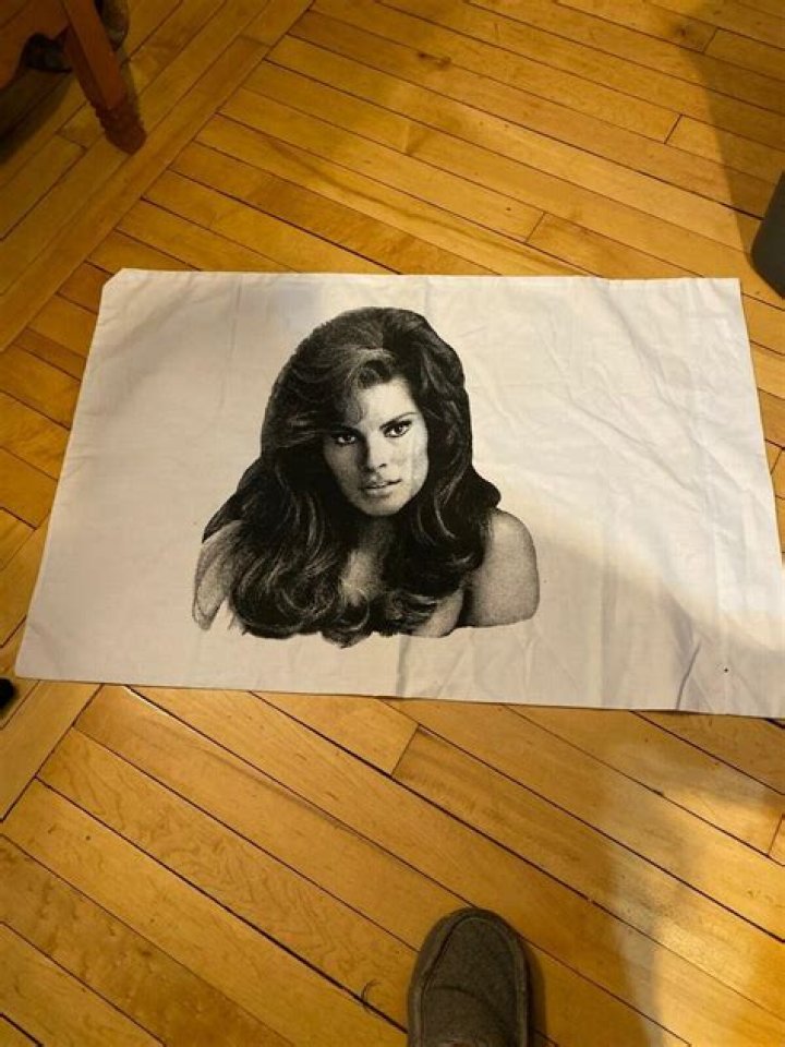 Raquel Welch Pillow G452080 - CelebPoster.com