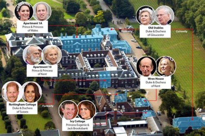 Royal experts are publicly begging Kensington Palace to stop with the clownery
