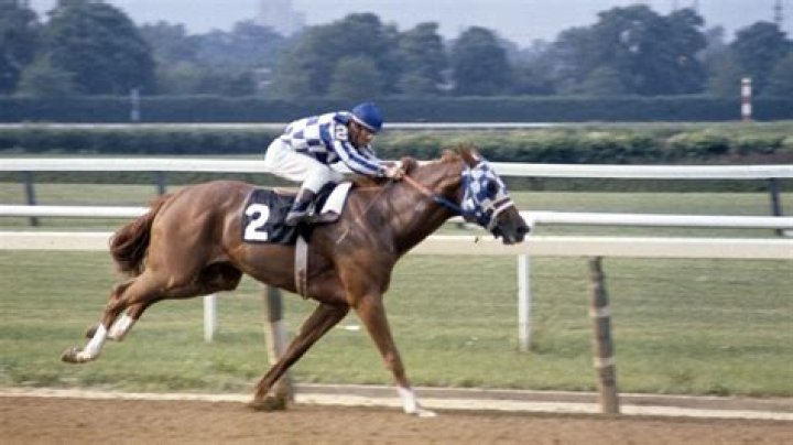 Running with Legends: The Life and Times of Secretariat