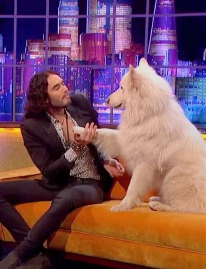 Russell Brand Pets - Celebrity Pets