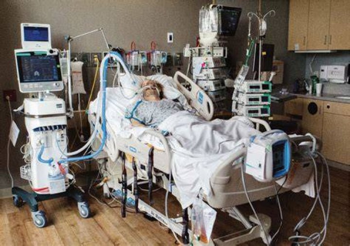 
Salman Rushdie is off the ventilator and said to be ‘joking’ a day after being brutally stabbed 