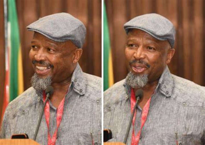 
Sello Maake Ka Ncube Age, Birthday, Wikipedia, Who, Nationality, Biography 