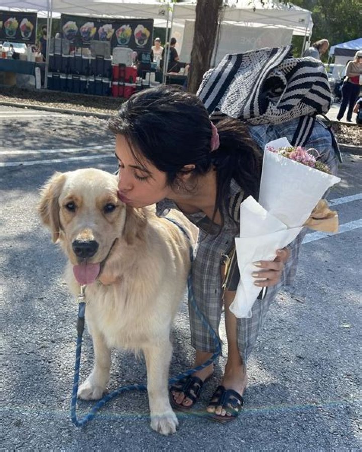 Shawn Mendes is upset that Camila Cabello got custody of their dog