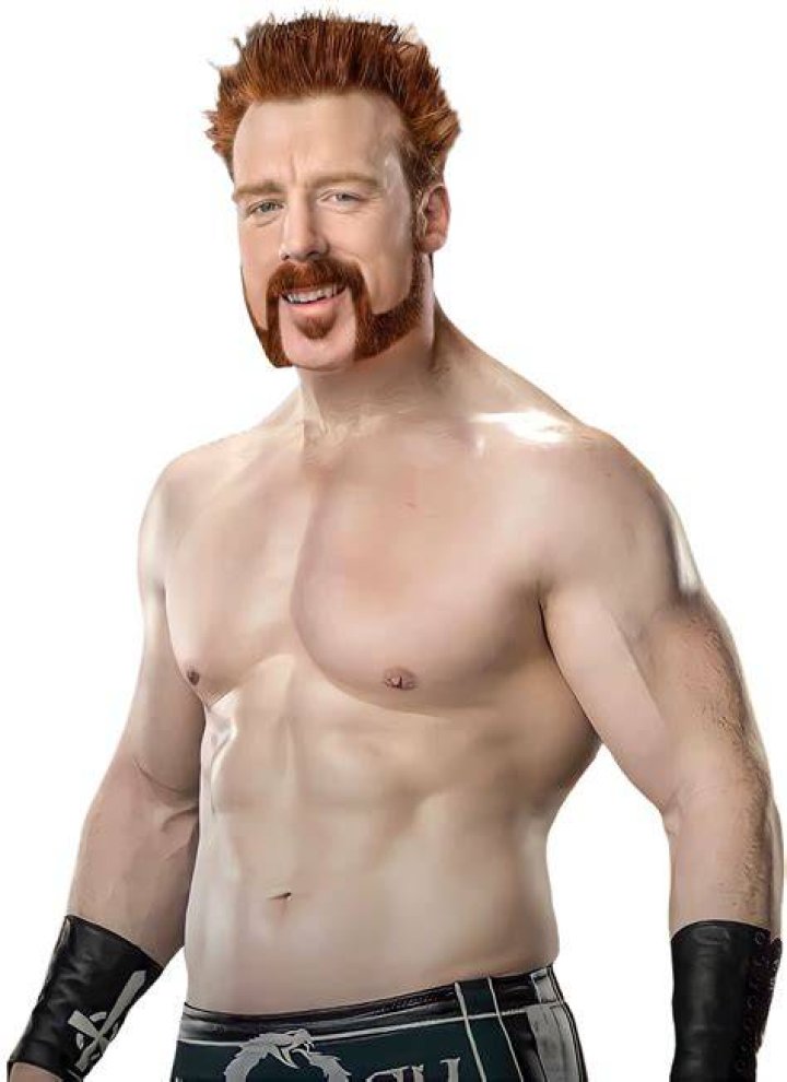 Sheamus Bio (Wiki) 