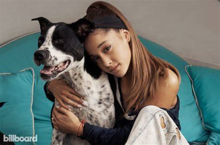 Singer Ariana Grande and her collection of pet dogs and one pig!