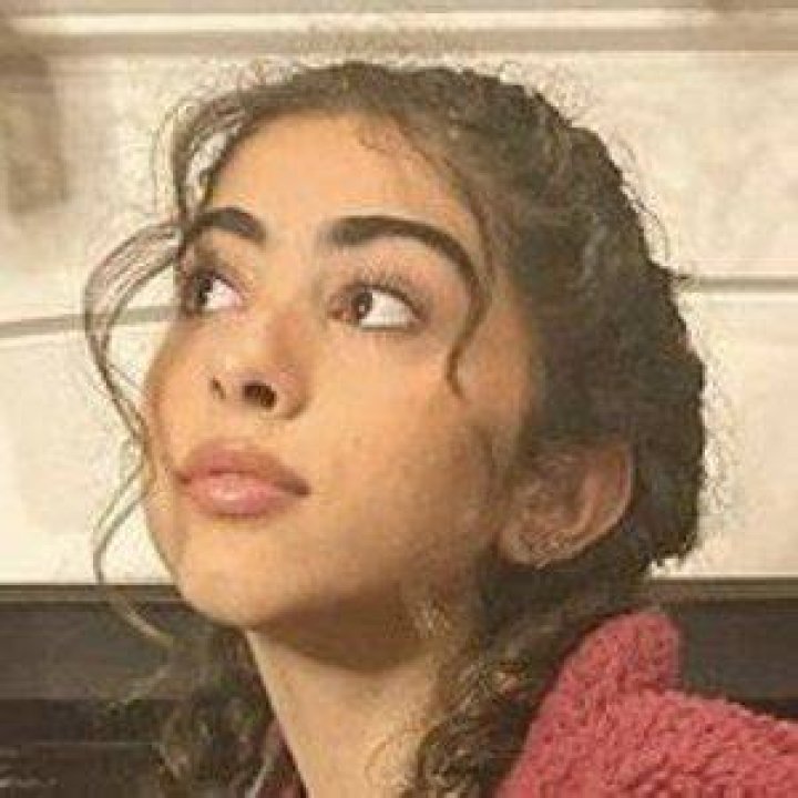 Skyler Aboujaoude - Age, Family, Bio