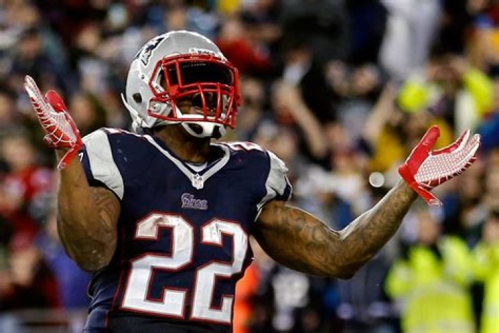 Stevan Ridley Net Worth - Wiki, Age, Weight and Height, Relationships, Family, and More