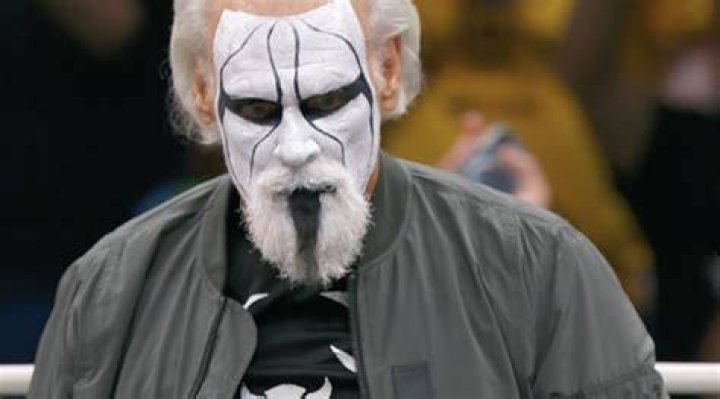 Sting Height, Weight, Net Worth, Age, Birthday, Wikipedia, Who, Instagram, Biography