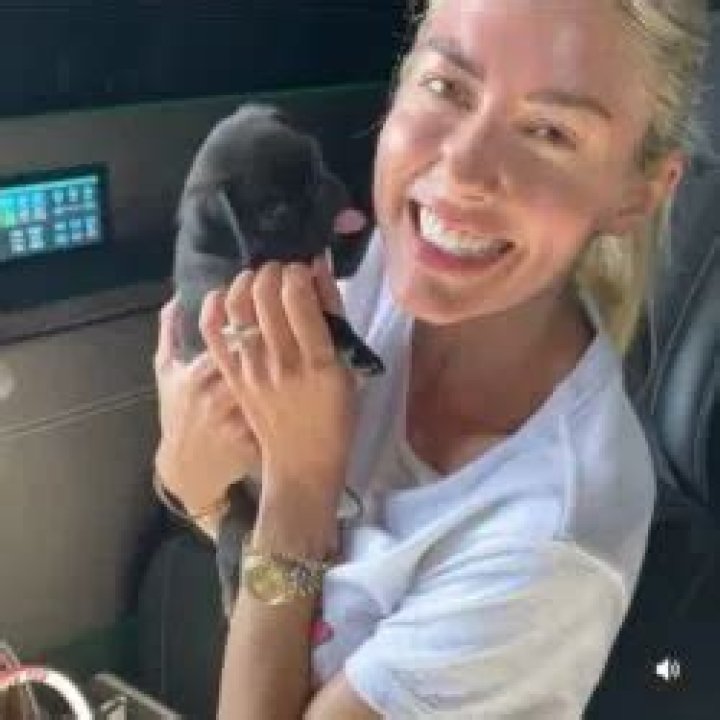 Tarek El Moussa Pets - Celebrity Pets