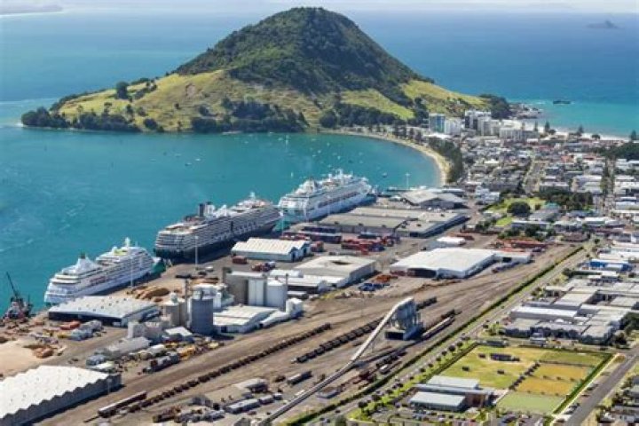 Tauranga Shore Excursions & Cruise Excursions