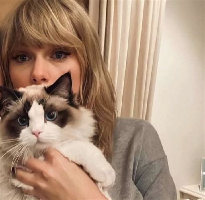 Taylor Swift loves buying furniture to send to her friends' homes without them knowing