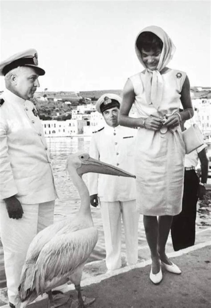 The 65-Year-Long Story of Petros, the Celebrity Pelican of Mykonos Greece