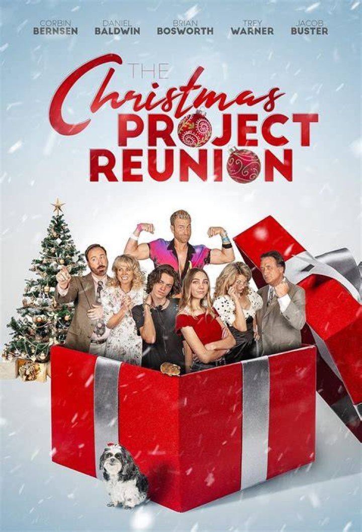 The Christmas Project - Cast, Ages, Trivia