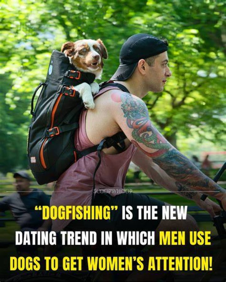 The new trendy online crime! Dogfishing and the dating apps!