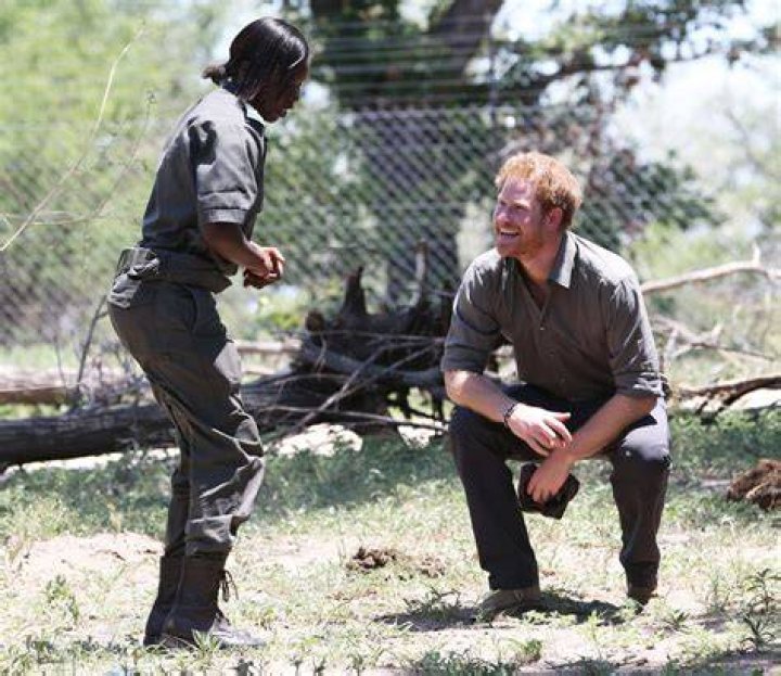 The Times: Prince Harry & William fought about Africa for years, you guys