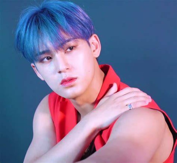 The Untold Truth of Seventeen Member – Kim Mingyu