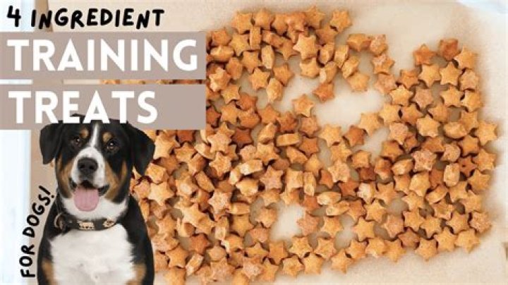This Dog Figured Out How To Buy Treats On His Own