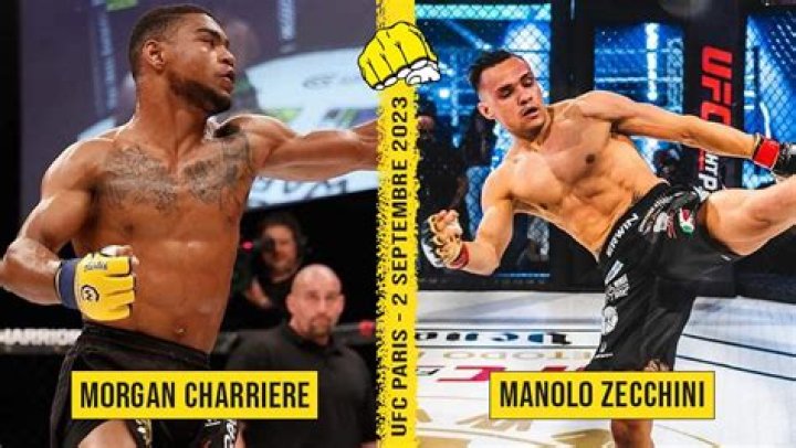 UFC Manolo Zecchini Wikipedia Wife And Family Ethnicity Religion