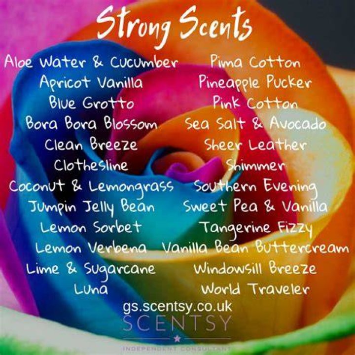 What's the strongest Scentsy Scent?