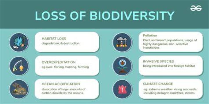 What are the main causes of biodiversity loss quizlet?