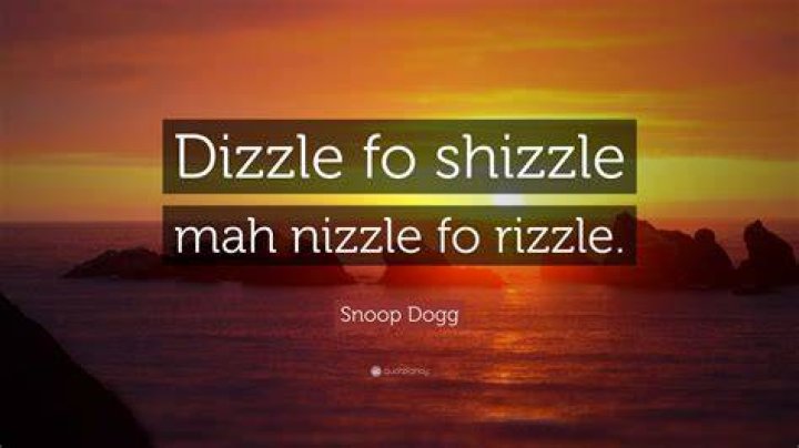What does Fo Shizzle Dizzle mean?