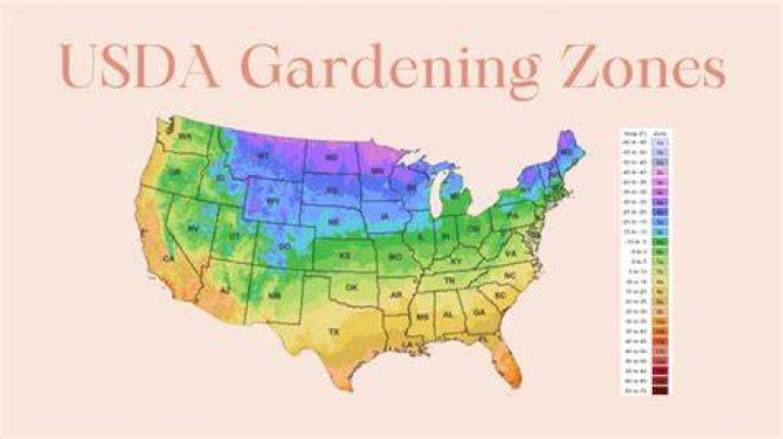 What garden zone is Northeast Ohio?