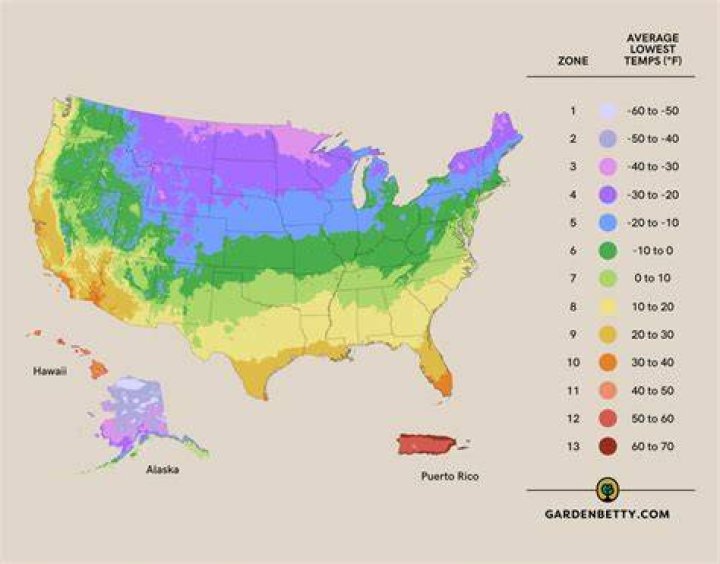 What growing zone is the Bay Area?