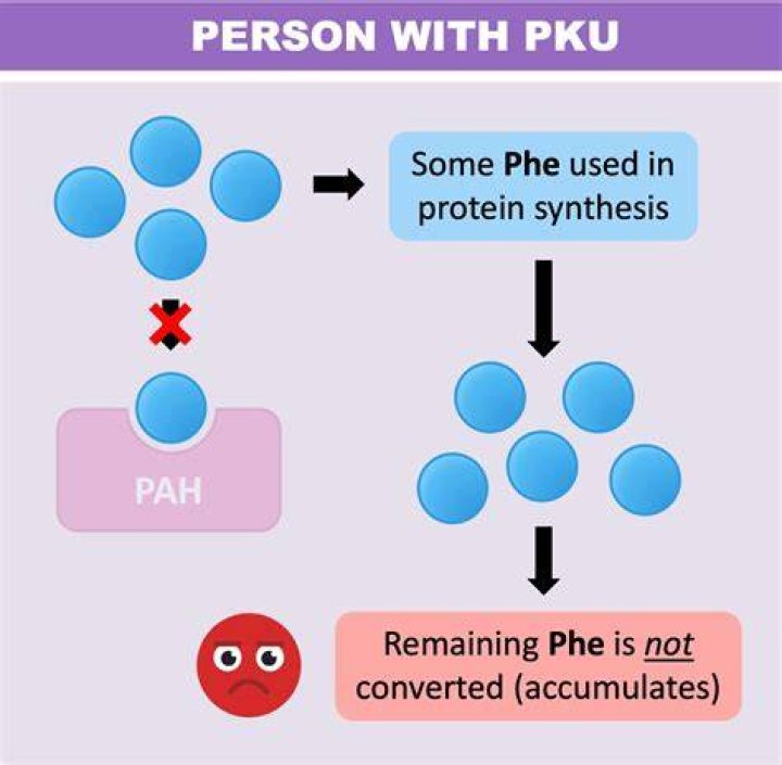 What happens if you have PKU?
