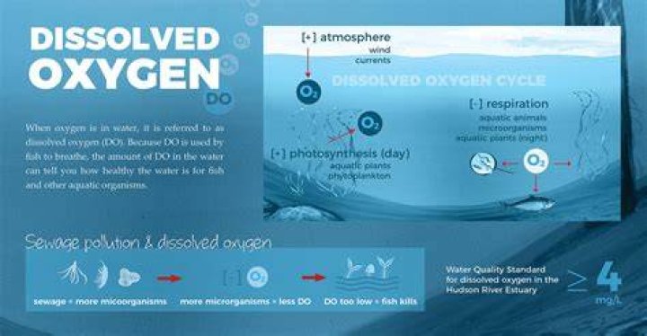 What happens when c6h12o6 is dissolved in water?