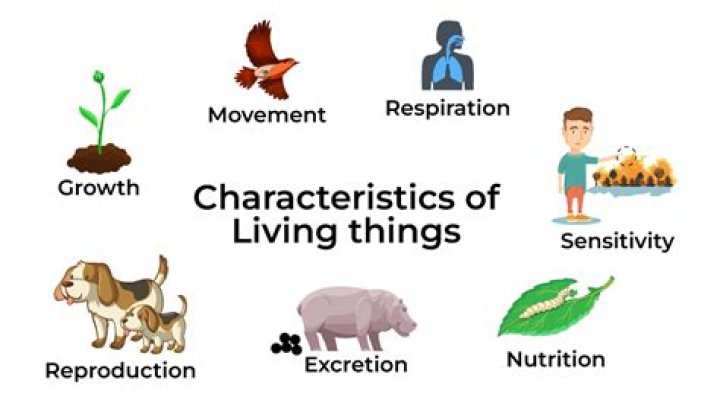 What is a characteristic of a community?