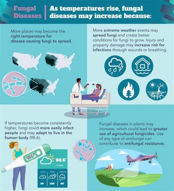 What is an abnormal condition or disease caused by fungus?