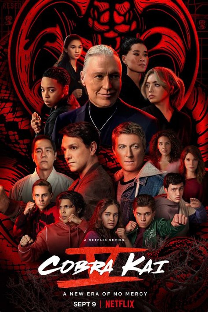 What is Eagle Fang Karate on Cobra Kai season 3?