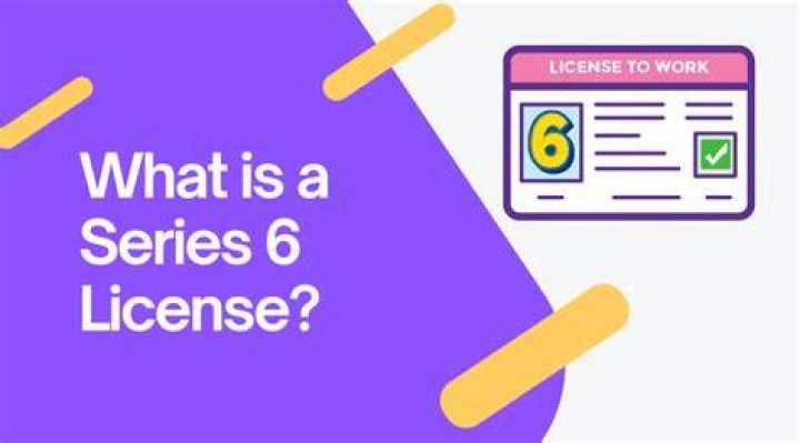 What is Series 24 license?