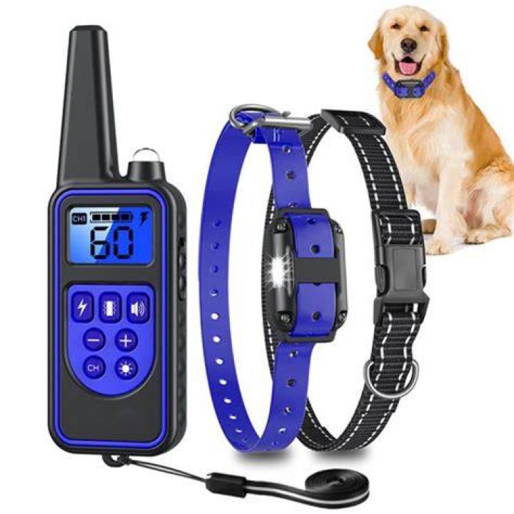 What is the best e collar for dogs?