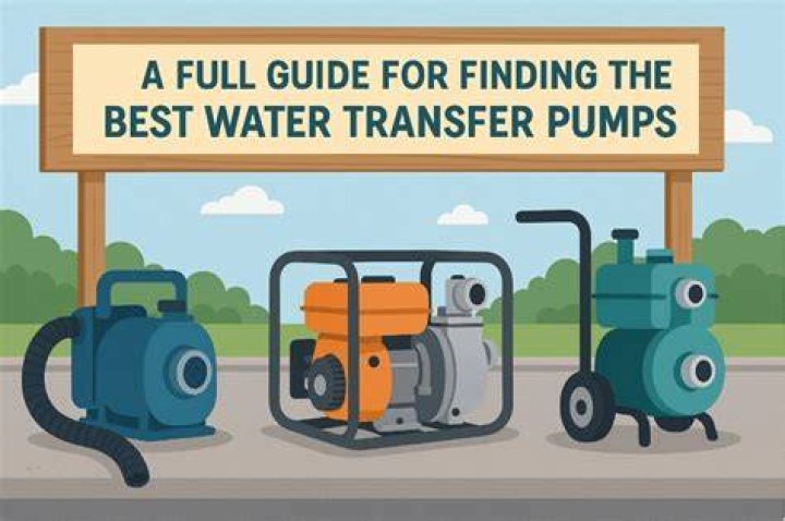 What is the best water transfer pump?