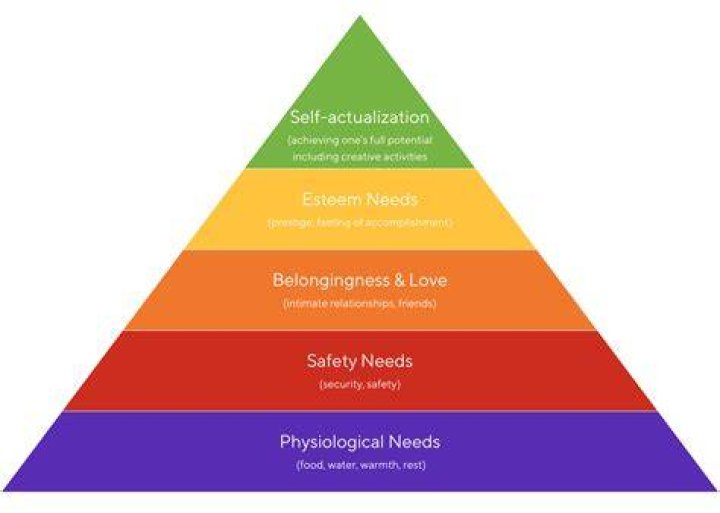 What is the correct order for Maslow’s hierarchy of needs?