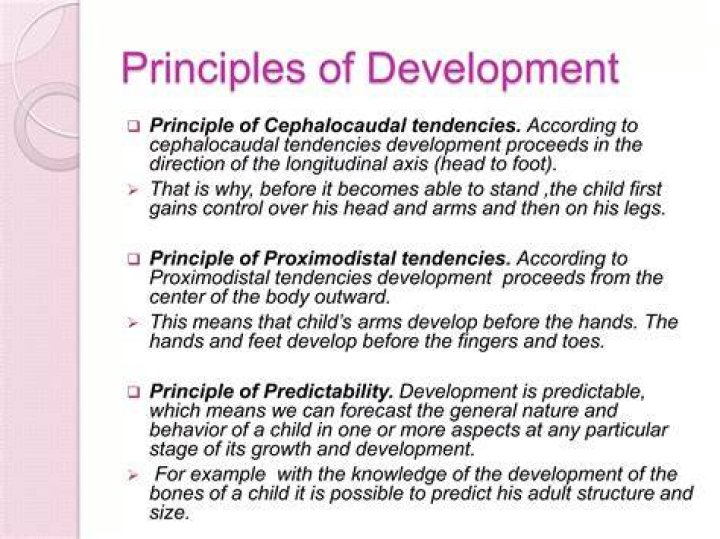 What is the difference between Cephalocaudal and Proximodistal development?