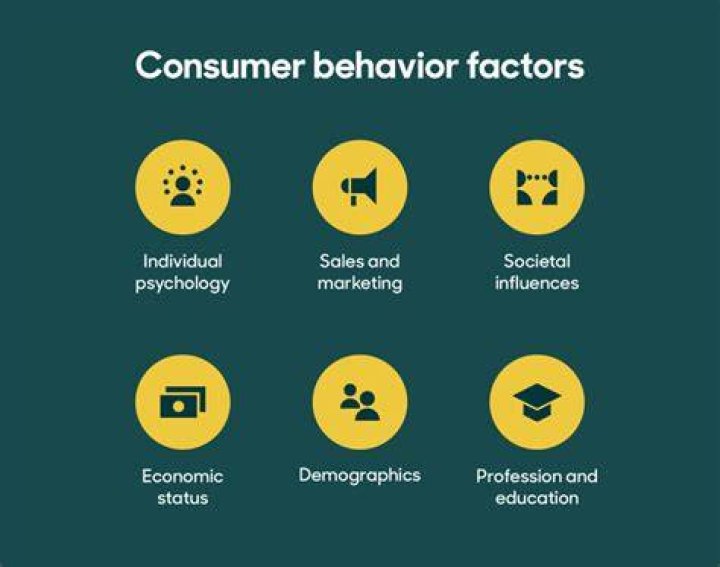 What is Vals in consumer Behaviour?