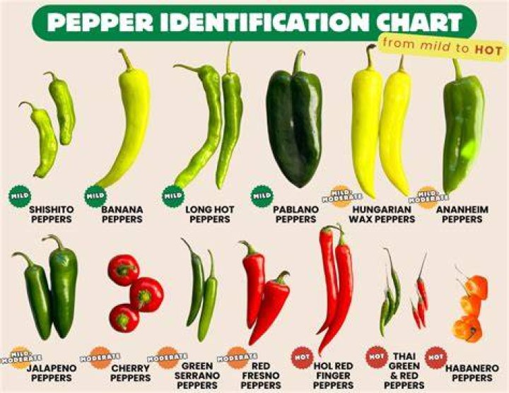What kind of pepper is the sport pepper?