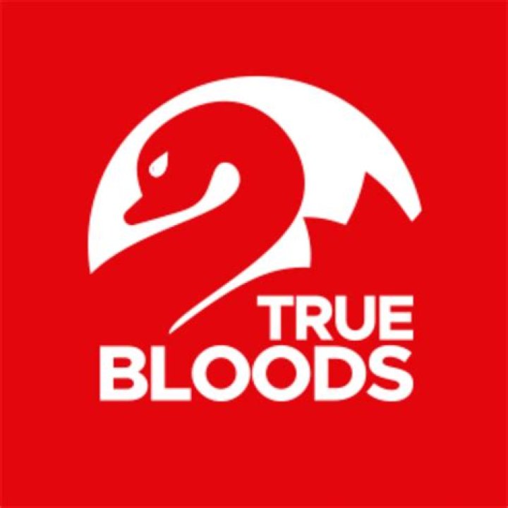 Who Is True Bloods' Actor Todd Lowe Dating Right Now? Know About His Dating Affairs