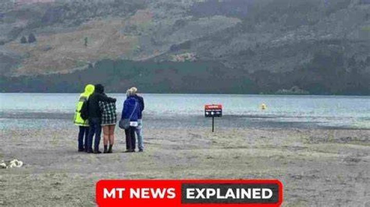 
Who was Jonathan Jordan Young? Man drowns trying to rescue child in Wakatipu lake 