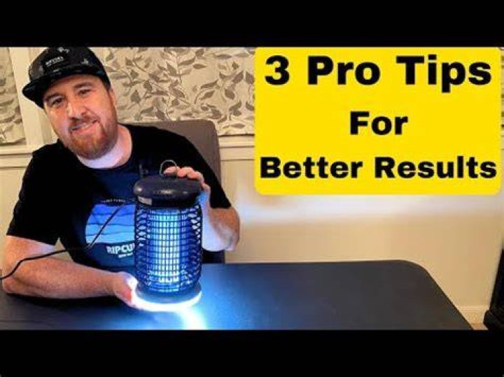 Will a bug zapper kill house flies?