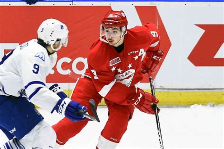 Zachary Senyshyn Bio (Wiki) 