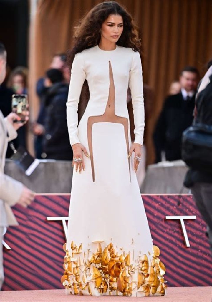 Zendaya risks wardrobe malfunction as she stuns in extremely low-cut zipper dress